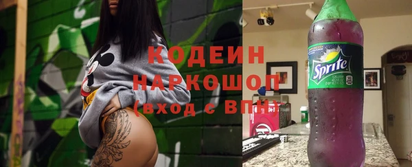 хмурый Алексин