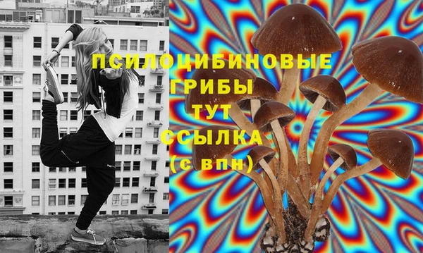 хмурый Алексин