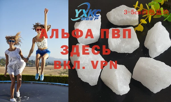 apvp Алзамай
