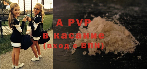 apvp Алзамай