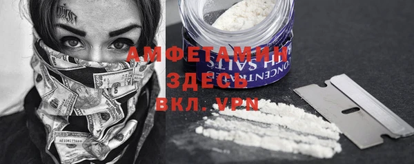 хмурый Алексин