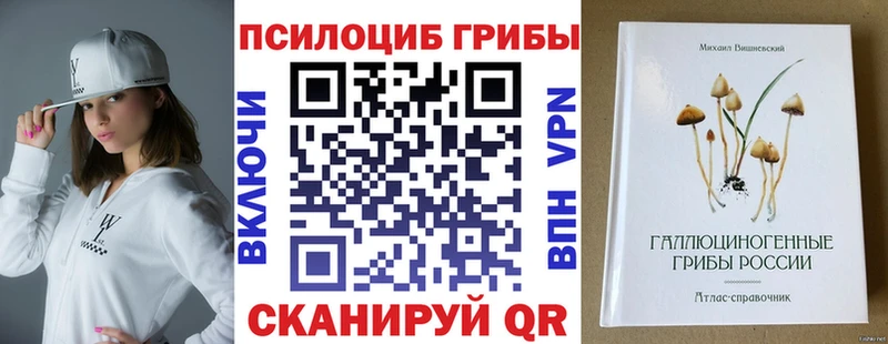 Псилоцибиновые грибы Magic Shrooms  купить  сайты  нарко площадка формула  Могоча 